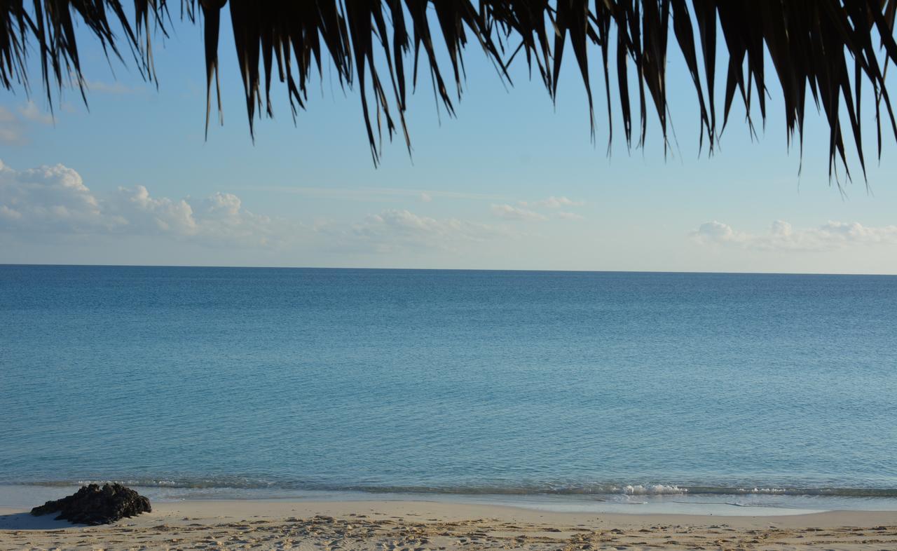 Pigeon Cay Beach Club Arthur Town Buitenkant foto